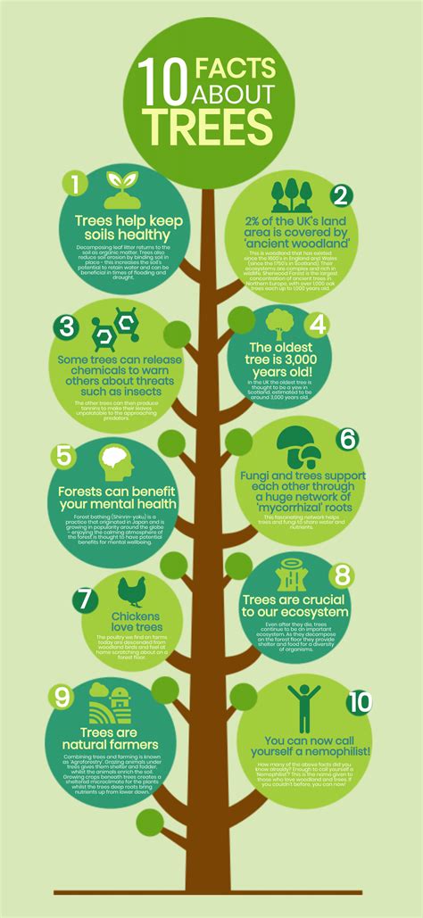 10 Tips to Jazz Up Your Science Classroom with Infographics