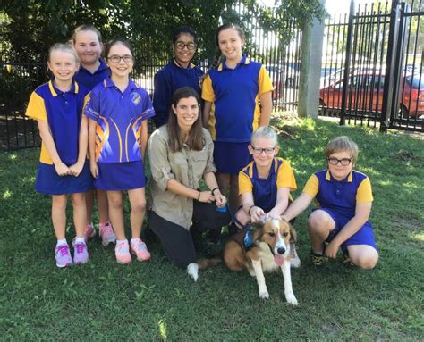 Birkdale State School gets a visit from Baxter the koala detection dog ...