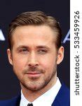 Gosling Free Stock Photo - Public Domain Pictures