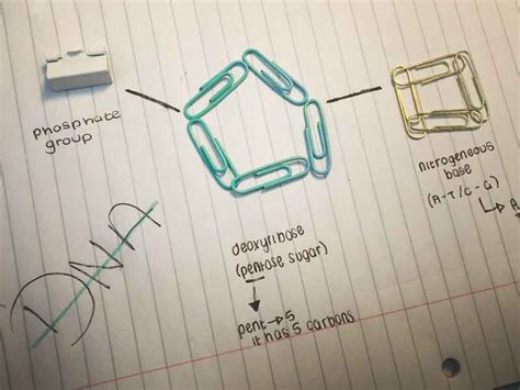 Molecular Modelling