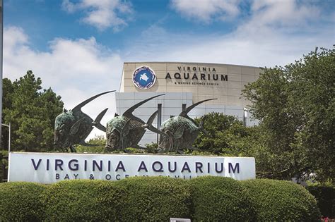 Virginia Aquarium and Marine Science Center | VBHA