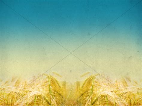 Harvest Fields Blurred Horizon Church Background | Clover Media