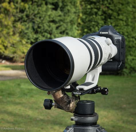 Canon 1Dx & 200-400 f4 L IS USM - Andy Astburys' Photography BlogAndy Astburys' Photography Blog