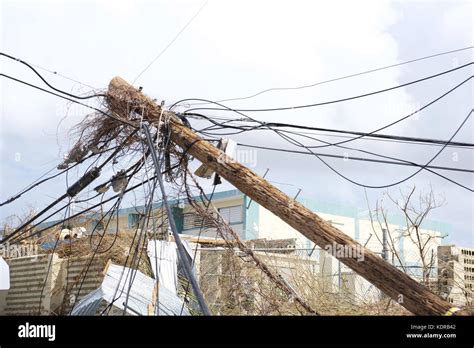 Downed Power Lines High Resolution Stock Photography and Images - Alamy