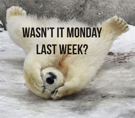 69 best images about I Hate Mondays ! on Pinterest | Mondays, Monday ...