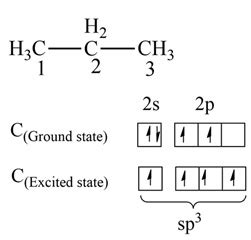 Deduce the hybridization of each C in the mentioned molecule. CH3CH2CH3 ...