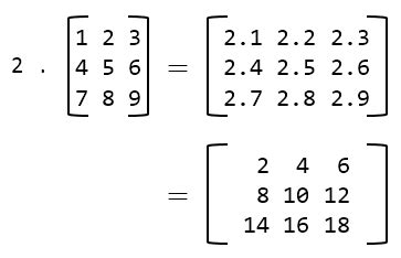 C program to perform Scalar matrix multiplication - Codeforwin