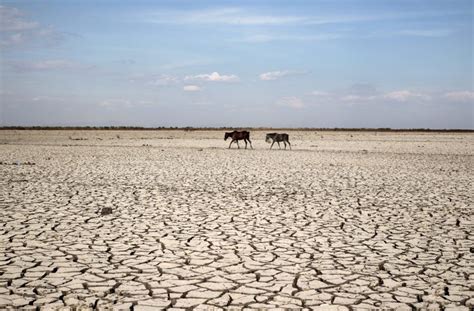 How climate change is driving emigration from Central America | Central america, Climate change ...