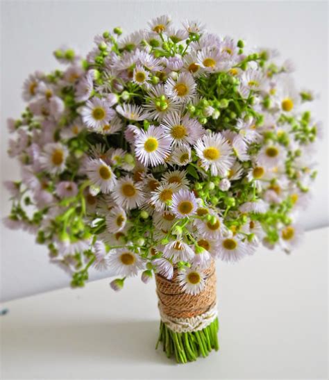 Aster wedding flowers ~ wedding flowers ideas