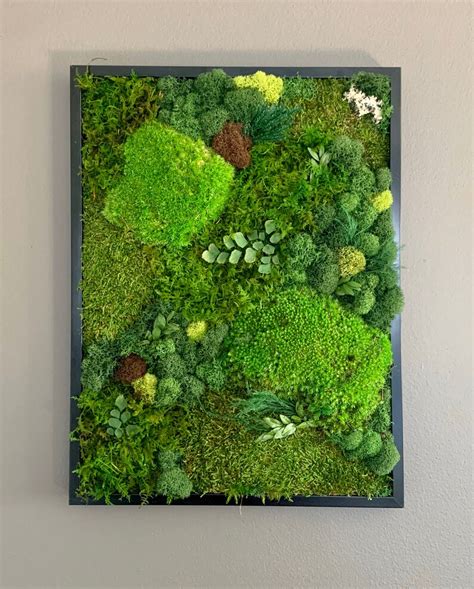 Moss Wall Art Moss Art Work Moss Art Preserved Moss Art - Etsy