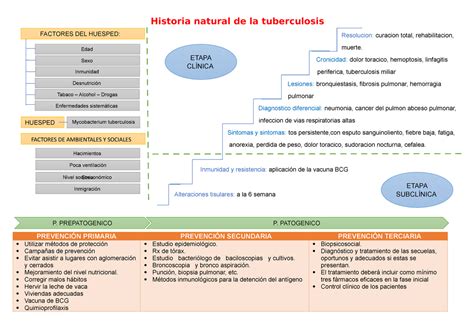 Historia Natural De La Tuberculosis Pulmonar Lineadeprensa | The Best Porn Website