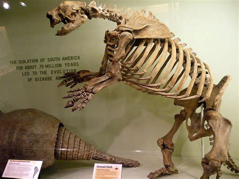 Harvard Museum of Natural History - Practical information, photos and ...