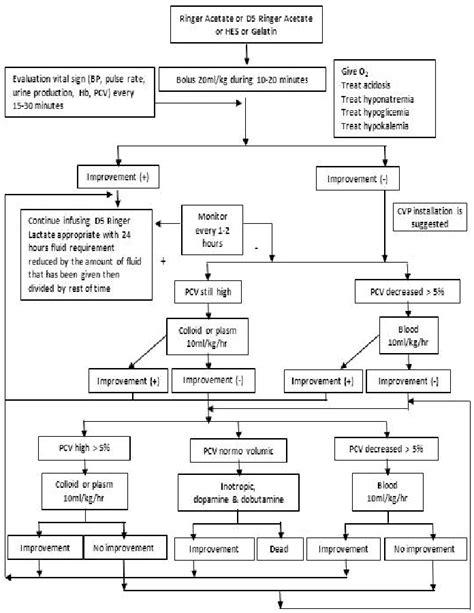 Dengue Shock Syndrome