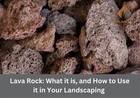 Lava Rock: What It Is, And How To Use It In Your Landscaping