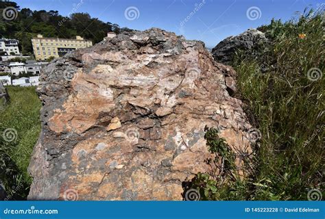 Franciscan Chert Rock from the Age of Reptiles, Corona Heights Park with a View of San Francisco ...