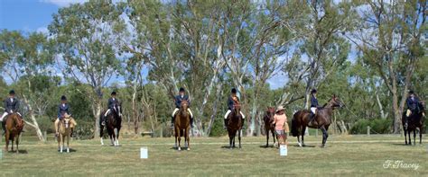 Horsham Agricultural Society | Horse Show