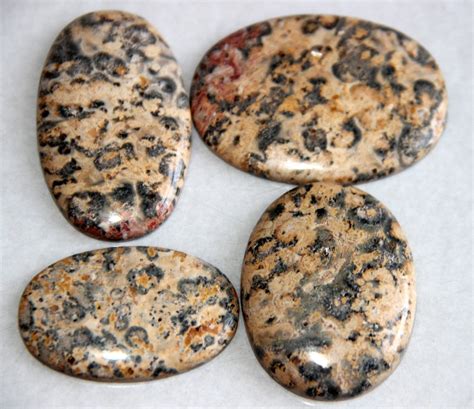 4 Pieces Natural Leopard Skin Jasper Cabochon Yellow Leopard | Etsy