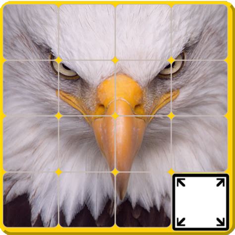 Puzzle Animal - Apps on Google Play