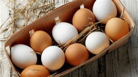 Can Diabetics Eat Eggs? 7 Best Foods To Control Diabetes