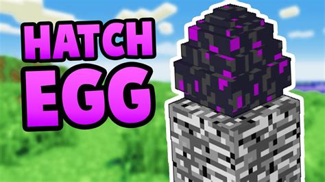 How To Hatch the Ender Dragon Egg in Minecraft Pocket E... | Doovi