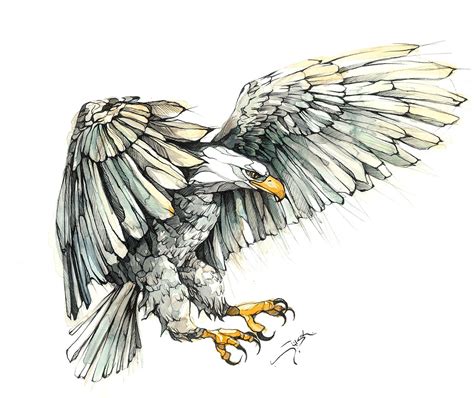 Eagle on Behance | Eagle drawing, Eagle tattoos, Tattoo drawings