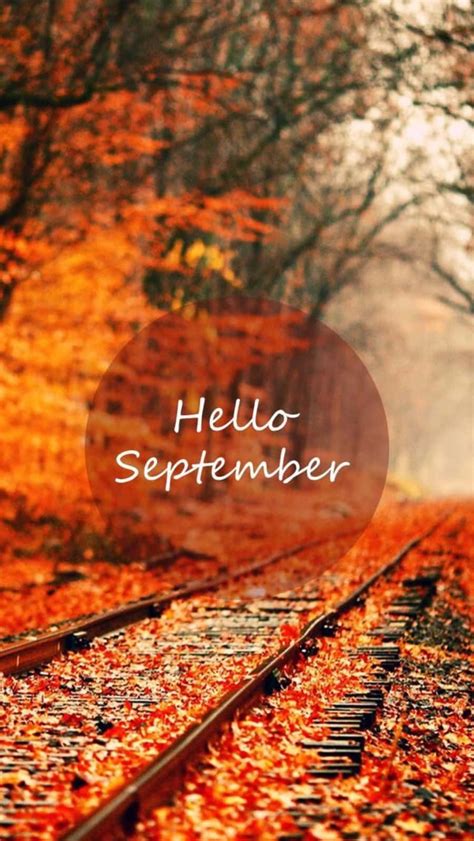 Download Hello September Greeting In Transparent Circle Wallpaper | Wallpapers.com