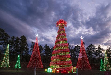 Garvan Woodland Gardens Christmas Lights | Fasci Garden