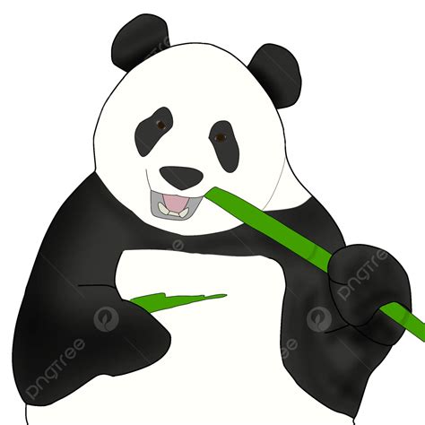 Panda Eating Bamboo, Panda, Eat, Bamboo PNG Transparent Clipart Image ...