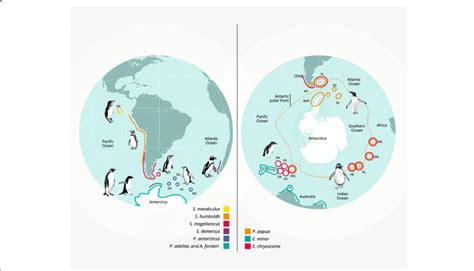 Adelie Penguin Habitat Map