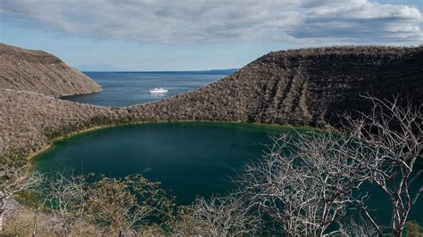 Genovesa Island Information - Visit Galapagos