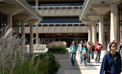 Libraries | University Library | University of Illinois Chicago