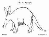 Aardvark Coloring Page sketch template