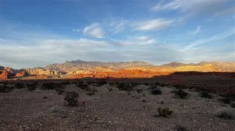 Best Hikes and Trails in Gold Butte National Monument | AllTrails