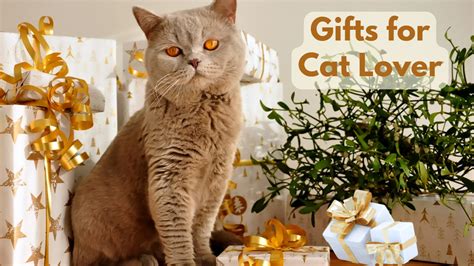 Top 28 Gifts for Cat Lover - GiftAdvising