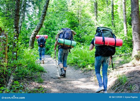 Young People Hiking With Backpacks In Forest Stock Photo - Image: 56113939