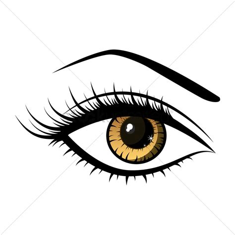 Female Eyes Vector at Vectorified.com | Collection of Female Eyes ...