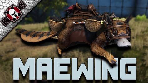 MAEWING TAMING & REVIEW! ABILITIES - BREEDING - EGGS EXPLAINED! - YouTube