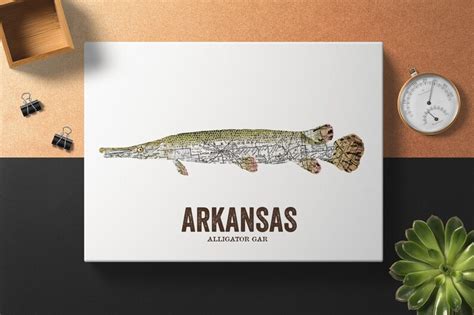 Arkansas State Fish Map Art Nature Outdoor Art Vintage Map - Etsy