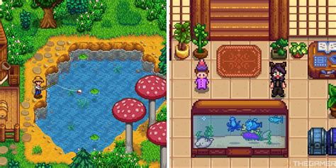 Stardew Valley: Guide To Fish Tanks - TrendRadars