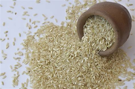 Measuring rice grain size and shape faster | PRRI