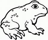 Free Printable Toad Coloring Pages For Kids sketch template