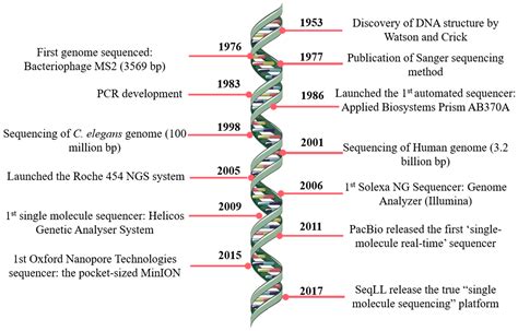 Technology sequence analysis - tyredei