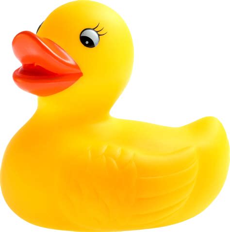 Rubber duck PNG