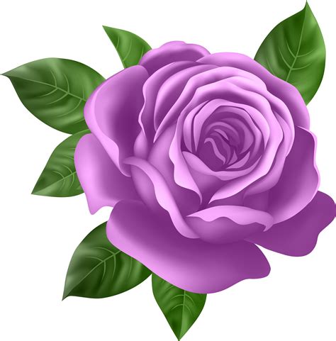 Purple Rose Transparent Png Clip Art - Purple Rose Clipart - Free ...