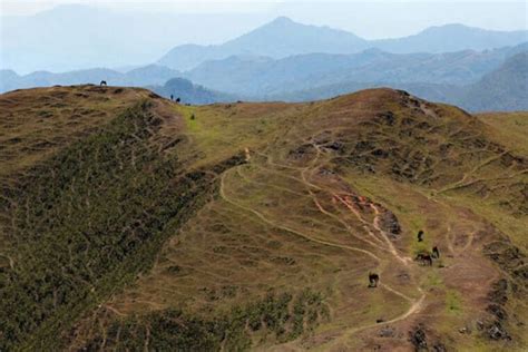 Nature & Wildlife in Timor Leste - Opulent Routes