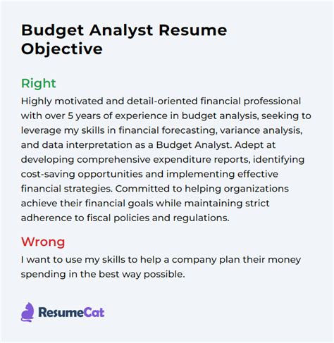 Top 16 Budget Analyst Resume Objective Examples | ResumeCat