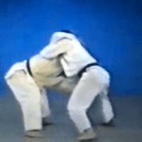 Judo GIFs - Get the best gif on GIFER