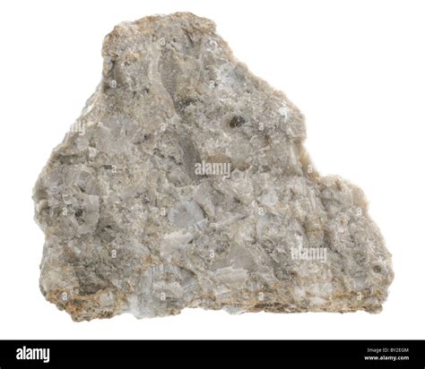 Bioclastic limestone. Sedimentary rock sample Stock Photo - Alamy