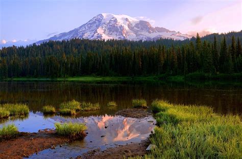 Learn about Really Fantastic and Great Mt. Rainier Campgrounds - America The Beautiful, July 31st