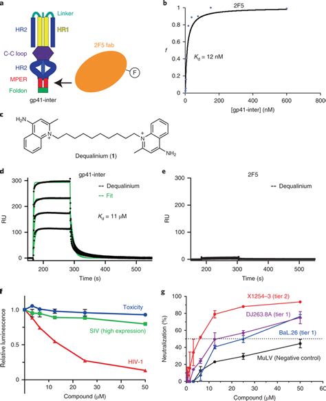 Identification of dequalinium as a small-molecule fusion inhibitor ...